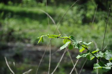 Similar image 21056131