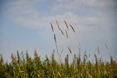 Similar image 21056133