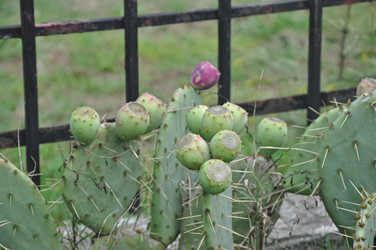 Similar image 21056134