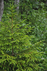 Similar image 21056136