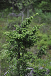 Similar image 21056137