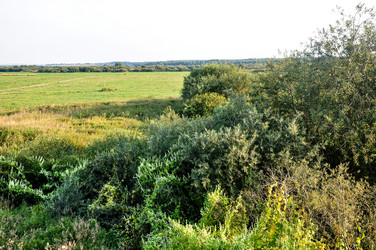 Similar image 21056138