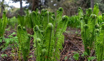 Similar image 21026751