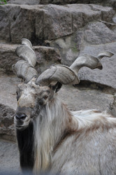 Similar image 21056716