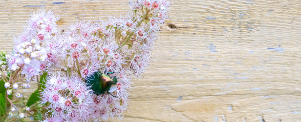 Similar image 21030379