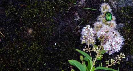 Similar image 21030387