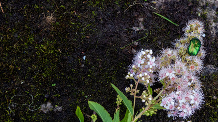 Similar image 21030391