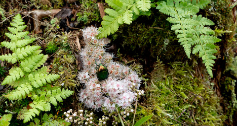 Similar image 21030560