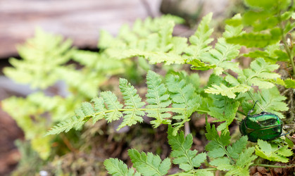 Similar image 21030152