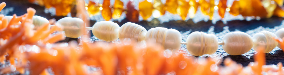 Similar image 21030395