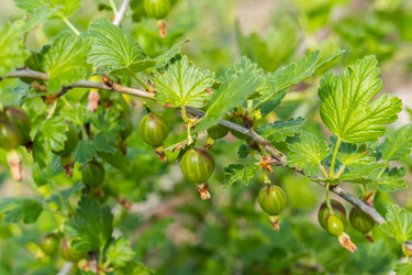 Similar image 21028799