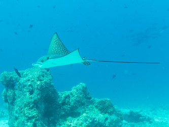 Similar image 21028819