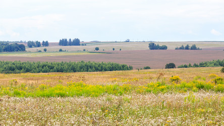 Similar image 21028822