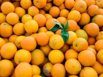 Similar image 21028829