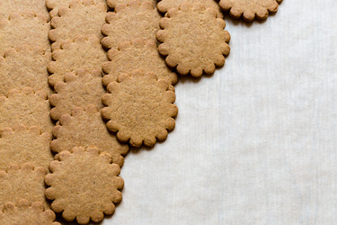 Similar image 21028830