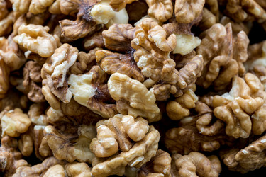 Similar image 21028834