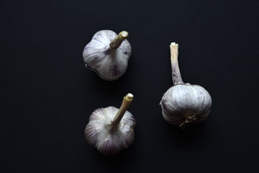 Similar image 21029932