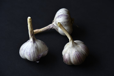 Similar image 21029933