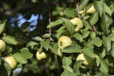 Similar image 21029945