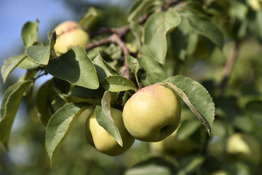 Similar image 21029946