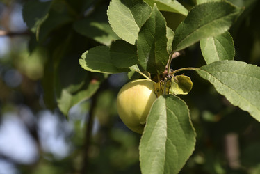 Similar image 21030060