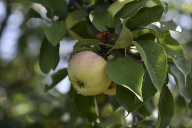 Similar image 21030062