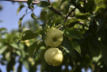 Similar image 21030063