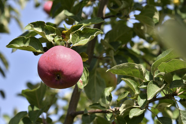 Similar image 21030064