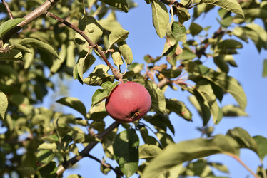 Similar image 21030065