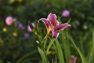 Similar image 21030157