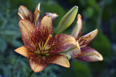 Similar image 21030158