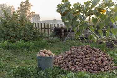 Similar image 21028838