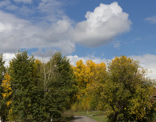 Similar image 21028839