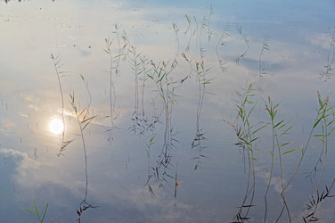 Similar image 21028693