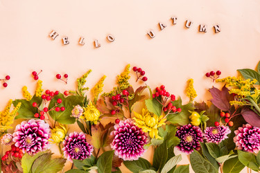 Similar image 21028622