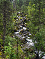 Similar image 21028697