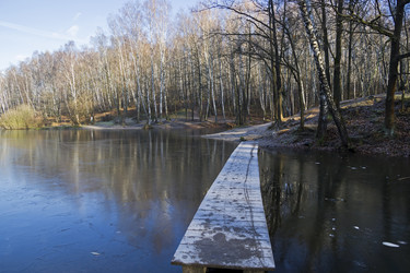 Similar image 21028706