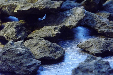 Similar image 21028581