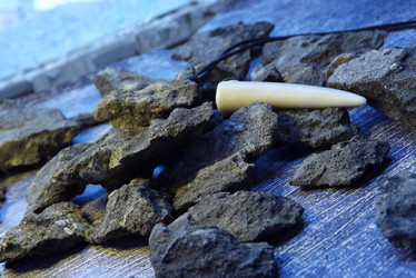 Similar image 21028582