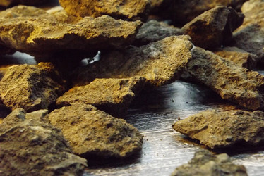 Similar image 21028584