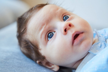 Similar image 21045112