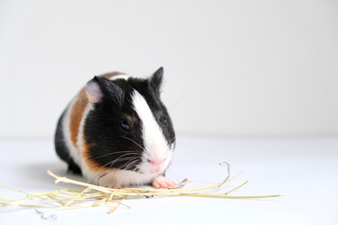 Similar image 21045317