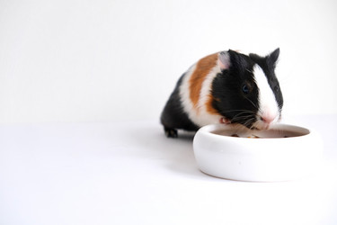 Similar image 21045322