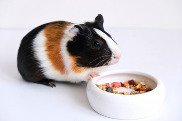 Similar image 21045325