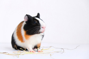 Similar image 21045327