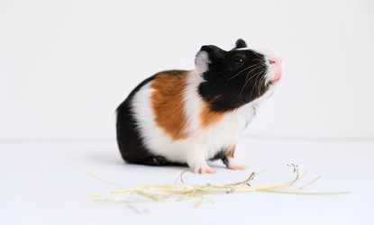 Similar image 21045329