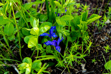 Similar image 21032645