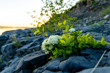 Similar image 21032649