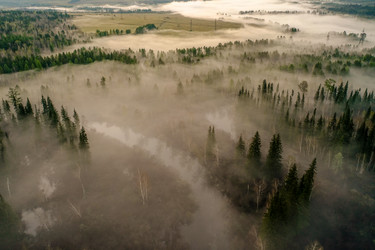 Similar image 21032653