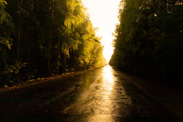 Similar image 21032878